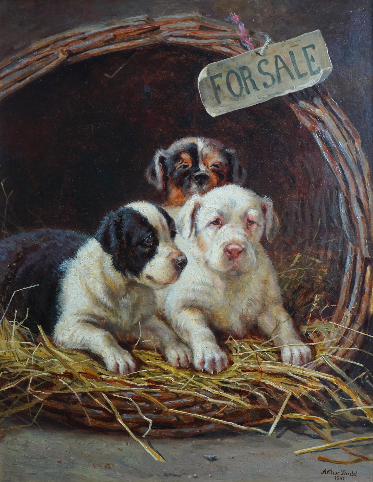 Arthur Charles Dodd, fl. 1878-1891, 'Dogs for sale'